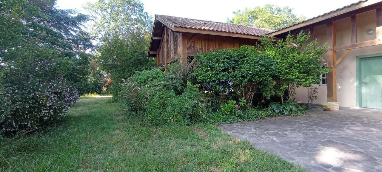 Casa Verde Baria Daire Laluque Dış mekan fotoğraf